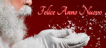 Buone Feste da AINER!