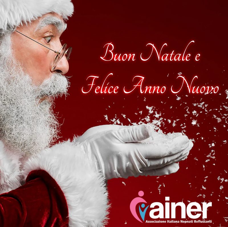 Buone Feste da AINER!